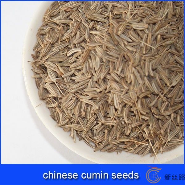 cumin-seeds孜然